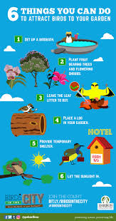 Some birds are enticed by fruit and seeds, others drink the nectar in certain types of wildflowers, and insectivorous birds hunt the insects found on. 6 Things You Can Do To Attract Birds In Your Garden The Haribon Foundation
