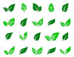 Green Leaves Icons Set On White Background Melhores Imagens Ideias