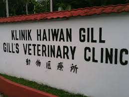Photo hope veterinary center, bayan lepas, penang, malaysia. Clinic Tour Gill S Veterinary Clinic
