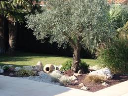 Resultat De Recherche D Images Pour Jarre Deco Jardin Amenagement Jardin Olivier Decoration Jardin Amenagement Jardin