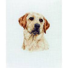 25 x 27 cm (10 x 10.5 inches) 18 count. Mercerie Labrador Portrait Cross Stitch Cross Stitch Animals Cat Cross Stitch Pattern