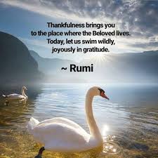 Gratefulheart Rumi Love Quotes Rumi Rumi Quotes