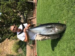 They are constructed of sls3 which blends carbon fiber and glass to create an extremely strong rod that is if you are looking for a high quality jigging or bottom fishing rod, get yourself a penn carnage ii jigging spinning rods. Carnage Ii Boat Conventional Penn Fishing