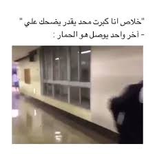 pinterest video in 2021 funny gif memes funny