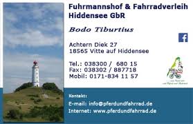 Hiddensee Mit Pferd Und Fahrrad Die Ostseeinsel Erleben Gruppenreisen