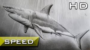 I draw this white shark for you , my followers!!! How To Draw A Great White Shark Step By Step With Pencil Tutorial Youtube
