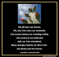 Life Is What Happens When You Re Busy Making Other Plans In Hindi Life Is What Happens To You While You Re Busy Making Other Plans John Lennon Morning Quotes Funny Inspirational Quotes Life Is What Happens