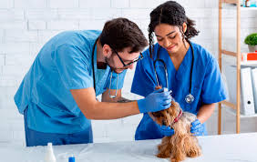 Servicios Técnicos