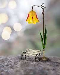 Beklemek Ama Neyi Ve Kimi Hem Nereye Kadar Beklemek Ama Ben Sikilirim Click Visi Miniature Photography Cute Photography Beautiful Wallpapers
