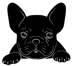 Black And White Frenchie Clipart Pin By Alicia Strickland Jaeckel On Franse Bulldog Boston French Bulldog Art Bulldog Drawing Dog Art