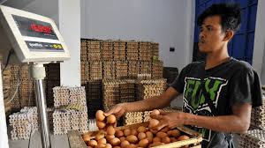 Referensi harga telur ayam ras hari ini sabtu, 29 mei 2021. Harga Telur Di Pekalongan Dan Malang Masih Tinggi Hingga Hari Ini Tirto Id