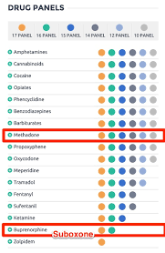 This testing is so precise that even the smallest trace amounts of drugs can out of all the drug tests, on average only 5% is hair testing. How To Pass A Hair Drug Test In 2020 4 Proven Ways To Beat It