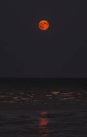 Folgen sie perry poetry auf instagram für tägliche gedichte. Thanks To Zoltan Tasi For Making This Photo Available Freely On Unsplash Full Moon Pictures Moon Photography Sky Aesthetic