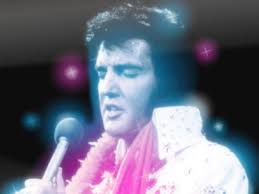 Book Review: The Attack of the Killer Rhododendrons, by Glen Chilton