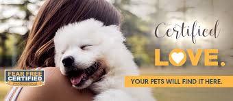 Veterinarians, veterinary technicians, veterinary assistants, kennel assistants, customer service representatives, practice managers, and other staff learn together just as they would during the individual fear free training program. Fear Free Handling Tucson Az Desert Paws