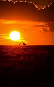 Pin by Ponnu swamy on Photography | Sunset, Natural beauty, Sunrise