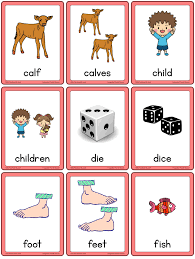 Check spelling or type a new query. Irregular Plural Nouns Esl Flashcards