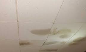 Before removing the entire water damaged ceiling ar. Diy Ceiling Tiles Replace Damaged Ceiling Tiles Project Arrow Fastener