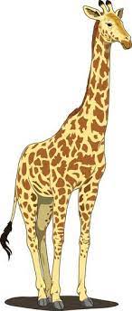 Giraffe Clipart Full Body 15 Jpg 236 554 Giraffe Images Animal Clipart Giraffe Illustration