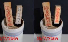 Maybe you would like to learn more about one of these? Zzf0ecznw5p31m