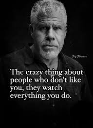 Instagram photo by Mark Kane • Oct 30, 2024 at 7:05 PM