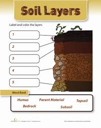 Soil Layers Worksheet Education Com Soil Layers Science Worksheets Second Grade Science