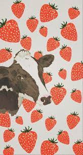 Wallpaper Cow Wallpaper Strawberry Cow Wallpaper Indie