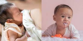 Sedu pada bayi biasanya berlaku ketika bayi menangis semasa menyusu. Bayi Muntah Susu Selalu Ini 5 Sebab Bahaya Yang Ibu Tak Sedar Theasianparent Malaysia