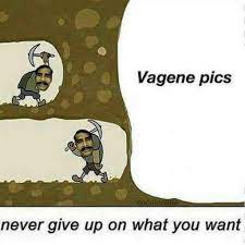 Never Give Up Dank Memes Amino