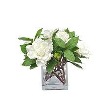Image result for Gardenia