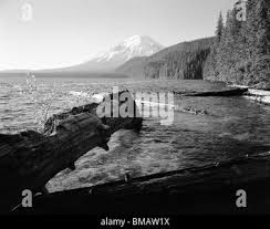 Image result for Black 1980 Spirit