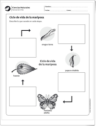 Pin En 2º Primaria Naturales