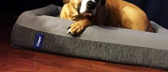 Maybe you would like to learn more about one of these? Casper Dog Mattress Gear Review Busted Wallet