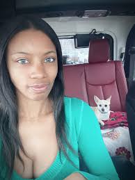 Chihuahuas enjoy heated car blankets