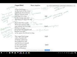 Caged Bird Annotations Youtube
