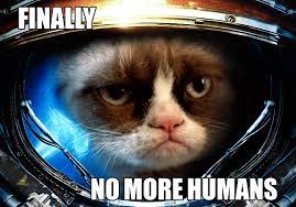It's hardly possible to find someone who doesn't appreciate a funny picture with a cute kitty. Pin By Robin Mckinsey On Fun Memes Grumpy Cat Grumpy Cat Humor Grumpy Cat Gif