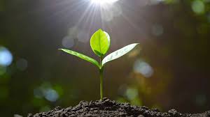 Its distribution segment distributes building and plumbing. Grafton Group Plc A Partnership That Continues To Flourish B4
