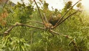 King kong in the movie is 104 feet tall. Mother Longlegs Monster Wiki Fandom