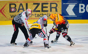 There are many types of hockey such as bandy, field hockey, ice hockey and rink hockey. Ice Hockey In Europe Travel Guide At Wikivoyage
