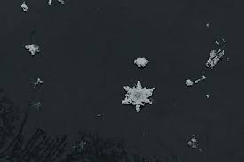 A freeze warning is issued across Alabama this weekend