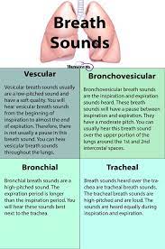 Nursing Health Assessment Of The Respiratory System Nursing School Tips Nursing School Notes Respiratory Care