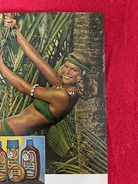 Image result for Dark Coppertone 1977 Fedders