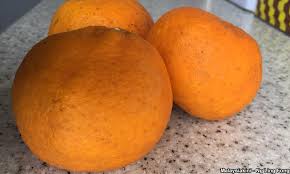 Tumbuh limau mandarin muncul pada pohon jeruk sedang seperti jeruk menampilkan delapan hingga 10 segmen dalam buah berair yang sedikit berongga tetapi sangat tart. Malaysiakini Limau Mandarin Dijangkiti Virus Berita Palsu Virus Wuhan Merebak