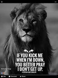 Pin By Kristie Nelson On Inspiration Short Inspirational Quotes Lion Quotes Warrior Quotes