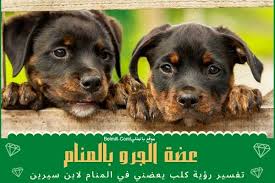 تفسير رؤية عضة الكلب في المنام حلم الجرو يعضني لابن سيرين بالمللي