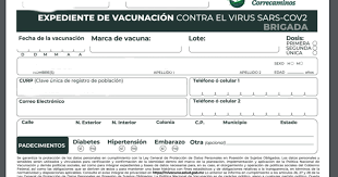 De la misma forma, se destacó que debido a que la población de 30 a 39 años está familiarizada con el uso de la tecnología, se determinó que llevar el expediente de vacunación sea obligatorio. Iympkzugzmh 7m