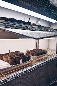 We did not find results for: How To Make Your Own Indoor Grow Light Stand The House Homestead