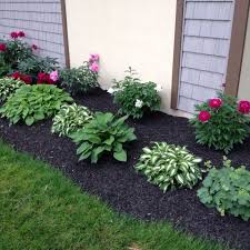 Lake Peonies Hostas Vermilion Side Yard Landscaping Front Garden Landscape Front Yard Landscaping