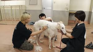 News source: Yahoo!ニュース