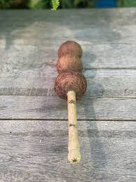 Image result for Oncoba